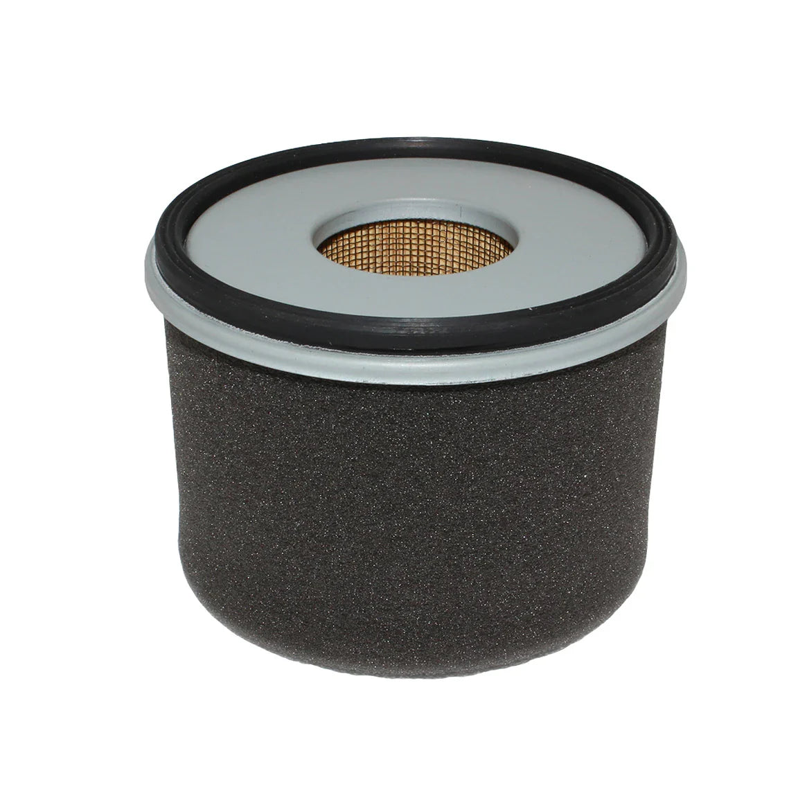 Air Filter - A1010