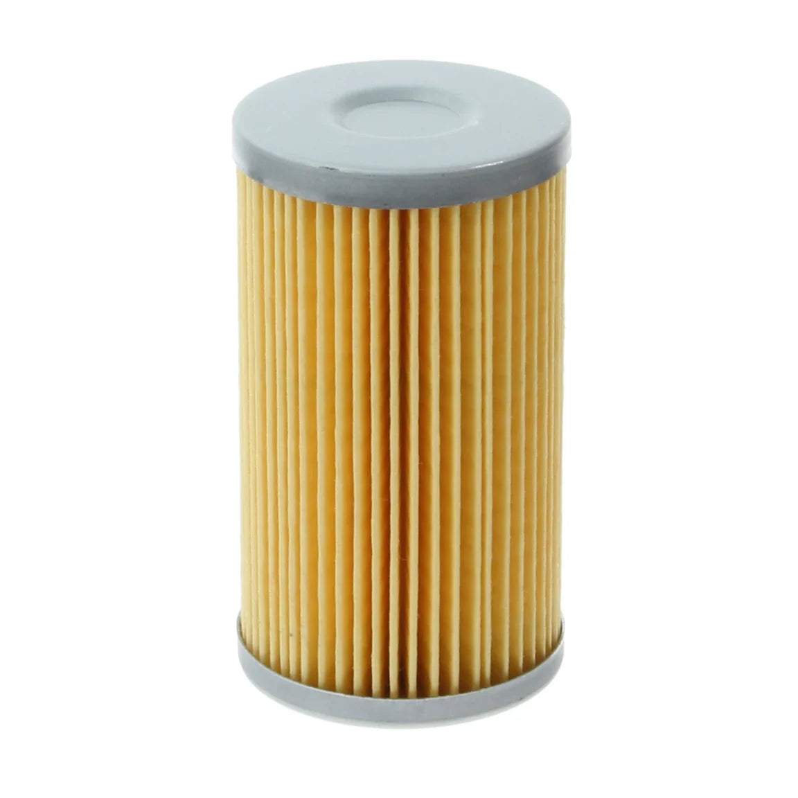 Fuel Filter - F113