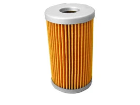 Fuel Filter - F115/1