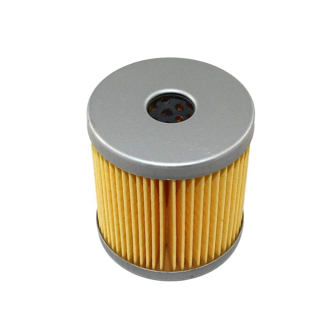 Fuel Filter - F118