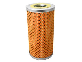 Fuel Filter - F131