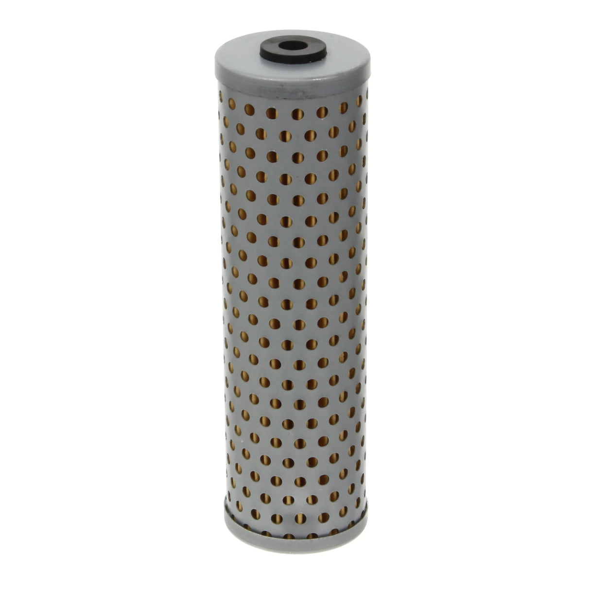 Fuel Filter - F153