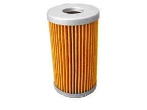 Fuel Filter - F162