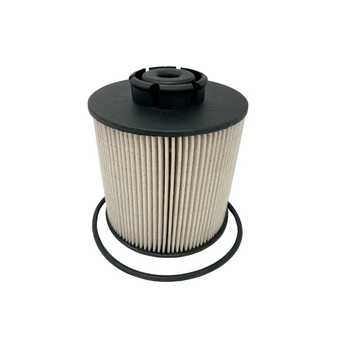 Fuel Filter - F175