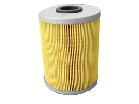 Fuel Filter - F176