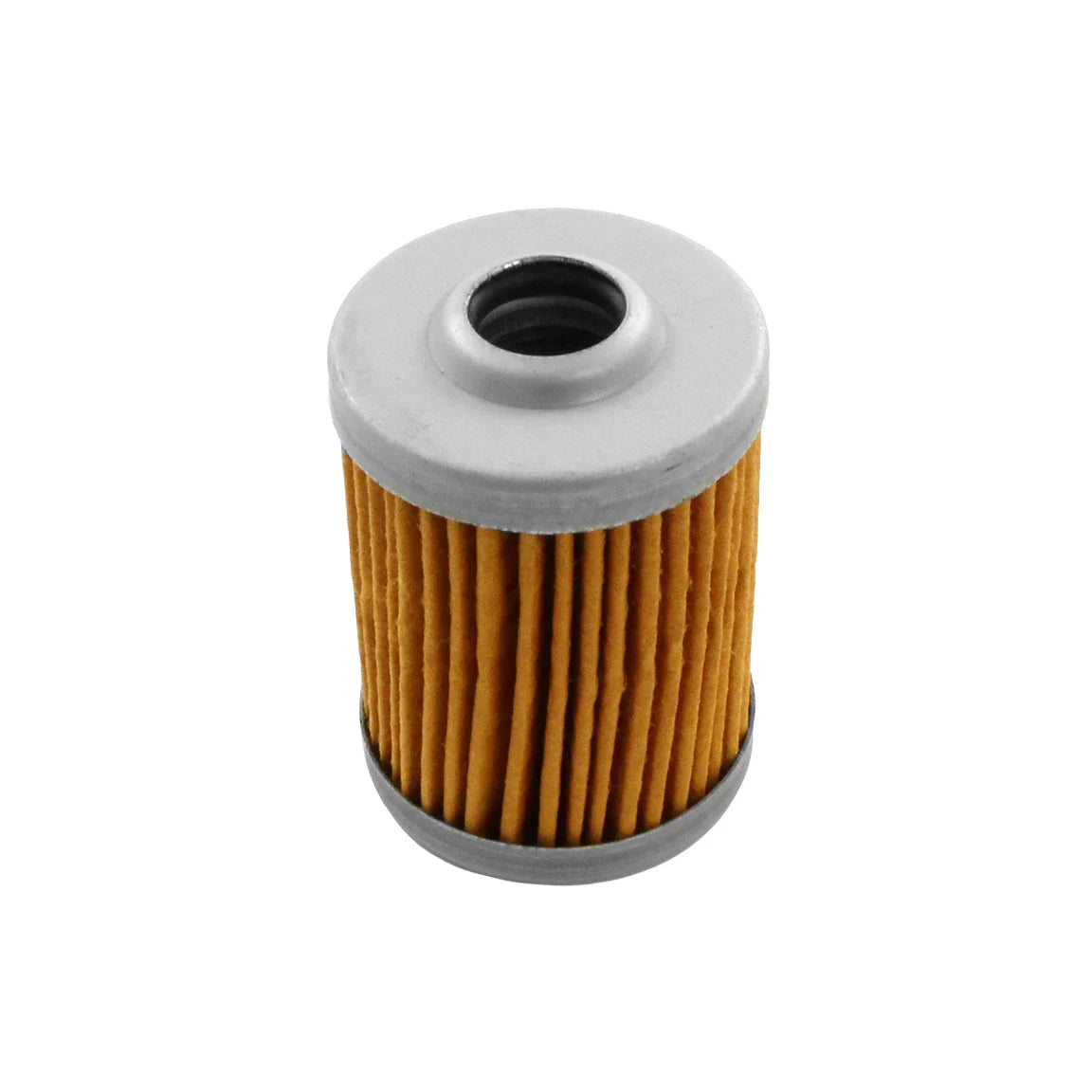 Fuel Filter - F202