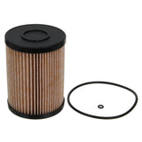 Fuel Filter - F21395