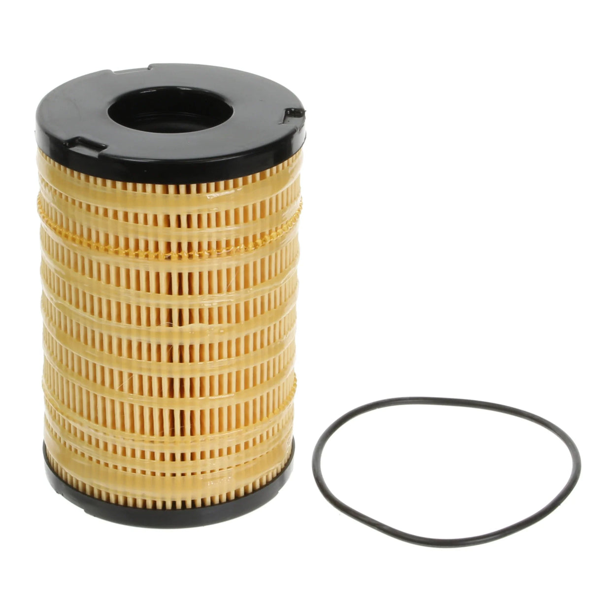 Fuel Filter - F215