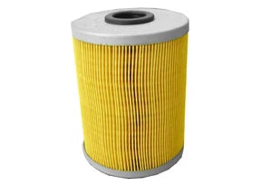 Fuel Filter - F216