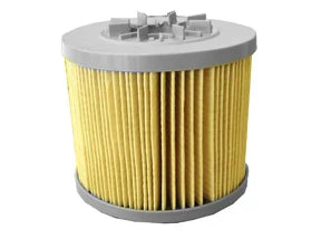 Fuel Filter - F218