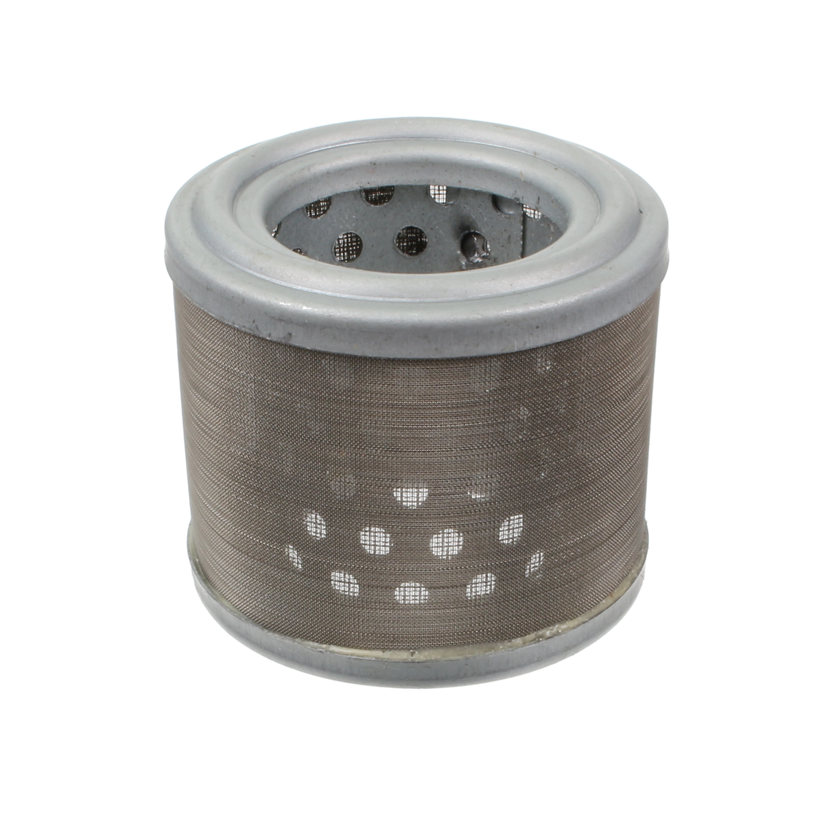 Fuel Filter - F243/MESH