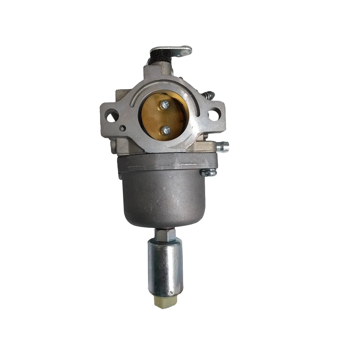 Carburettor fits Briggs & Stratton Vertical 310000 Series (Replaces 794572, 793224, 699109)