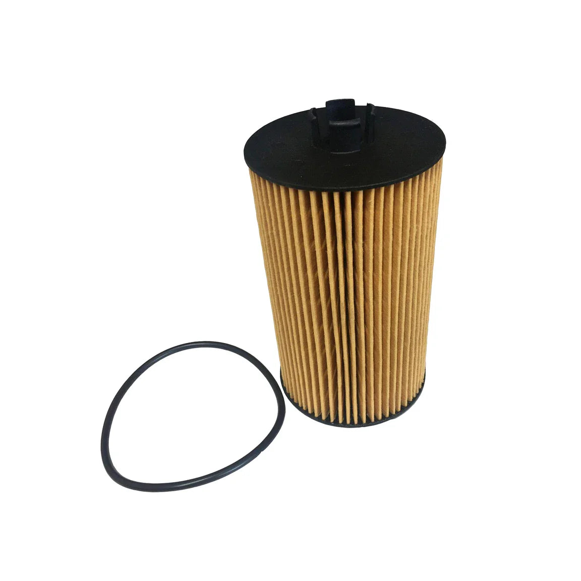 Oil Filter - P389