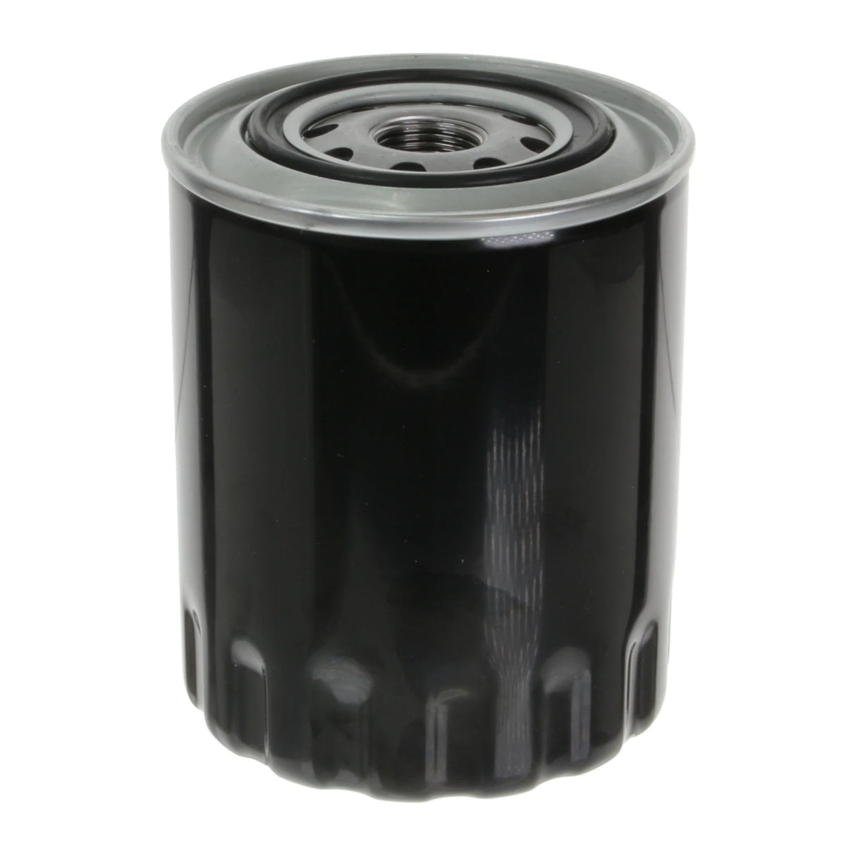 Fuel Filter - S401/1