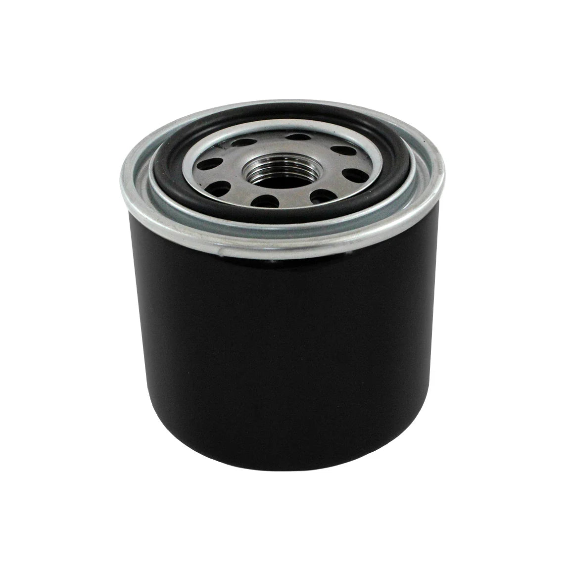 Fuel Filter - S438