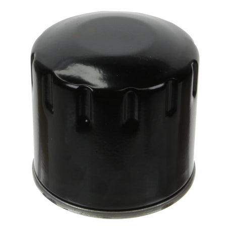 Oil Filter - S573