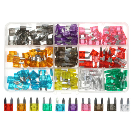 Assorted Mini Blade Fuses 2-30A 200pc